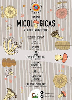 LOBERA DE ONSELLA. Jornadas micológicas de las Cinco Villas (del 13 al 15)