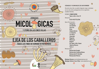 EJEA. Jornadas micológicas de las Cinco Villas (fines de semana de noviembre)