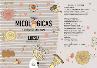 LUESIA, ORES, SOS. Jornadas micológicas de las Cinco Villas (sábado, 4)