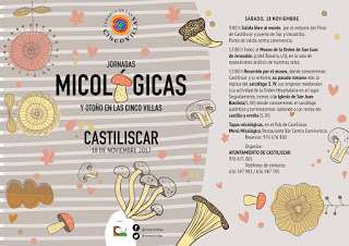 CASTILISCAR, LONGÁS. Jornadas micológicas de las Cinco Villas (sábado, 18, y domingo, 19)