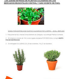 Entrega de plantas culinarias en el MERCADO SAN VICENTE DE PAÚL (jueves, 23, 30 de noviembre y 14 y 21 de diciembre)