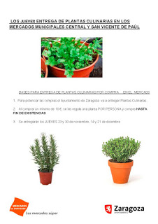 Entrega de plantas culinarias en el MERCADO SAN VICENTE DE PAÚL (jueves, 23, 30 de noviembre y 14 y 21 de diciembre)