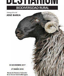 Exposición ‘Bestiarium. Biodiversidad rural’ (hasta 27 de enero)