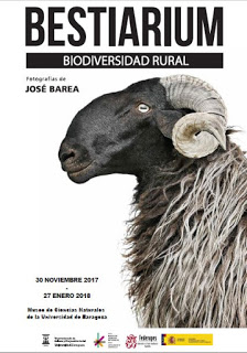 Exposición ‘Bestiarium. Biodiversidad rural’ (hasta 27 de enero)