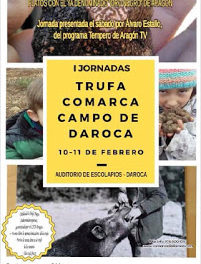 DAROCA. Jornadas de la Trufa (sábado, 10, y domingo, 11)