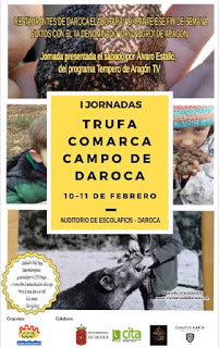 DAROCA. Jornadas de la Trufa (sábado, 10, y domingo, 11)