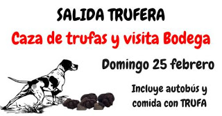 Caza de trufas y visita Bodegas Ignius