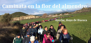 AYERBE. Caminata en la flor del almendro (domingo, 25)