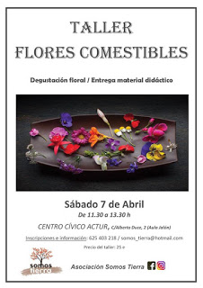 Taller flores comestibles (sábado, 7)