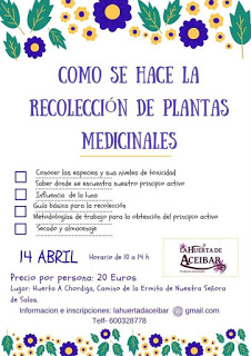 HUESCA. Curso para aprender a recolectar plantas medicinales (sábado, 14)