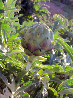 Taller y cena-degustación de verduras de temporada en ABSINTHIUM (miércoles, 25)