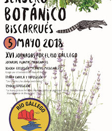 BISCARRUÉS. Sendero Botánico (sábado, 5)