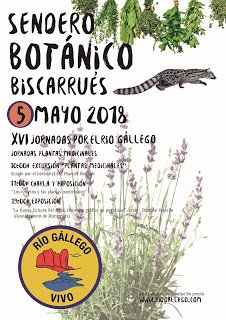 BISCARRUÉS. Sendero Botánico (sábado, 5)