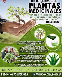 Clase sobre plantas medicinales (lunes, 23)