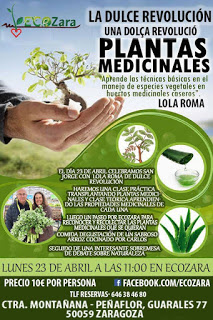 Clase sobre plantas medicinales (lunes, 23)