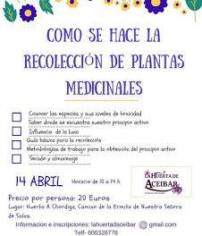 HUESCA. Curso para aprender a recolectar plantas medicinales (sábado, 21)