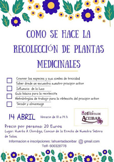 HUESCA. Curso para aprender a recolectar plantas medicinales (sábado, 21)