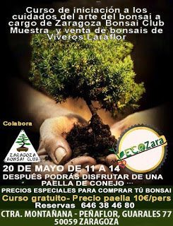 Curso de iniciación al bonsai (domingo, 20)