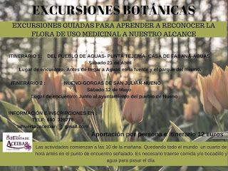 HUESCA. Excursión para conocer la flora de uso medicinal (sábado, 5)