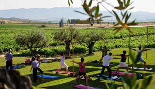 BARBASTRO. Taller de Yoga con vino en BODEGAS LAUS (sábado, 2)