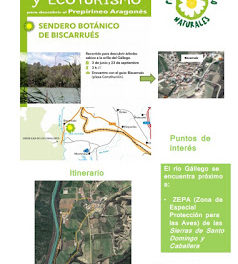 HUESCA. Excursión por el Sendero Botánico de la Hoya de Huesca (domingo, 3)