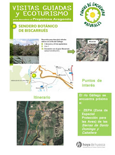 HUESCA. Excursión por el Sendero Botánico de la Hoya de Huesca (domingo, 3)