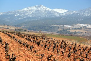 XII Congreso Internacional Terroir (del 18 al 22)