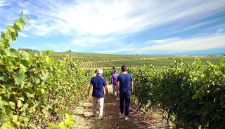 BARBASTRO. Visita a bodega LAUS y cata de vino (desde el 25 de agosto)