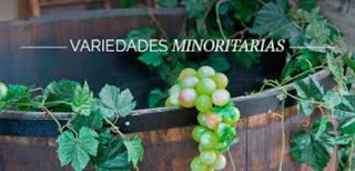 Degustación de vinos de variedades minoritarias (jueves, 9)