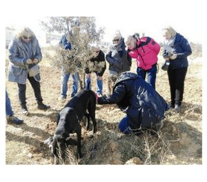 Excursión a la caza de trufas (domingo, 7)