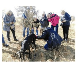 Excursión a la caza de trufas (domingo, 7)