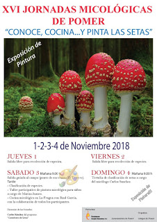 POMER. XVI Jornadas Micológicas (del 1 al 4)