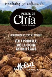 Degustación de patata de Chía (días 25 a 27)