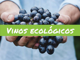 Degustación de vinos de vinos ecológicos (sábado, 3)