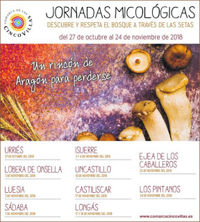 EJEA DE LOS CABALLEROS. Jornadas micológicas de las Cinco Villas (viernes, 23)