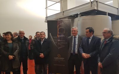 Campo de Borja estrena bodega y récord de ventas