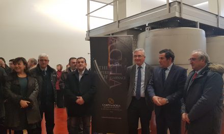 Campo de Borja estrena bodega y récord de ventas