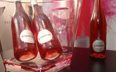 Crece la familia Alquézar de Bodega Pirineos
