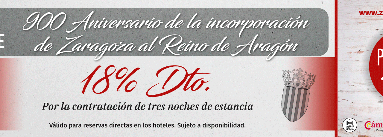 ZARAGOZA Y PROVINCIA. Ofertas especiales en hoteles (del 15 al 18)