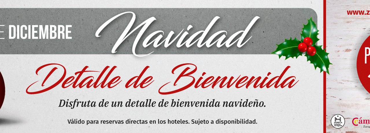 ZARAGOZA Y PROVINCIA. Promoción en hoteles (del 5 al 9)