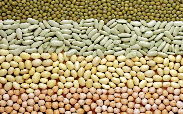 Revista Gastro Aragón 51: El año de las legumbres.