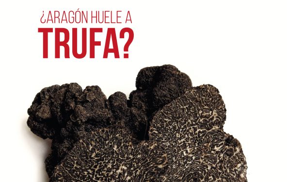 Revista Gastro Aragón 55: ¿Aragón huele a trufa?