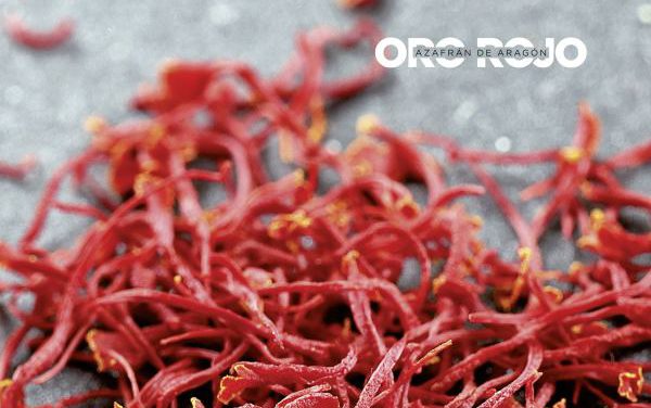 Revista Gastro Aragón 61: Oro rojo. Azafrán de Aragón.