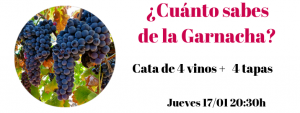 Cata garnachas Eugenia