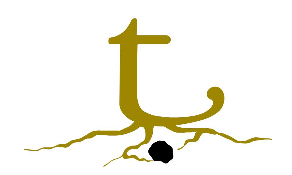 Trufa negra Teruel logotipo