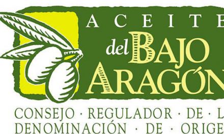 Los mejores aceites del Bajo Aragón 2020