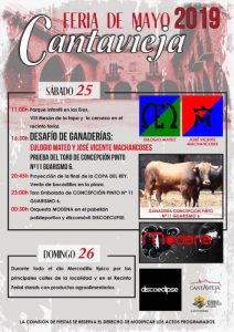 Feria de Cantavieja