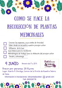 Taller de recolección de plantas medicinales