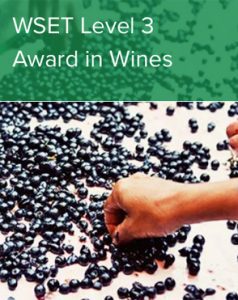 WSET Level 3 Award in Wines - Grape Bebop