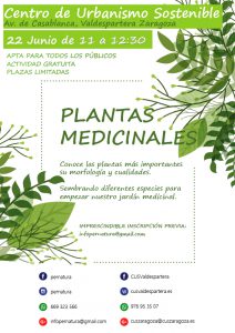 Taller de plantas medicinales